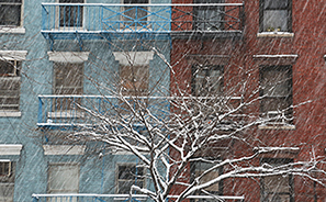 Snowstorm : 2021 : New York : Personal Photo Projects : Photos : Richard Moore : Photographer